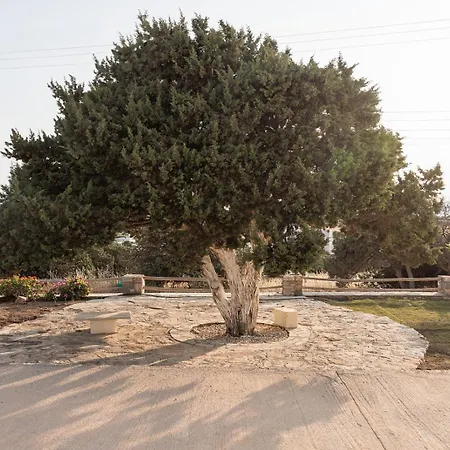 Dreamlike Aurea Blu, Nature, Relaxation, Pure Lejlighed